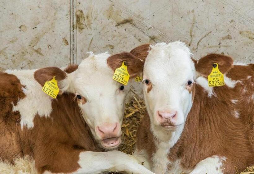 فندق Bio Bauernhof Niederlehen