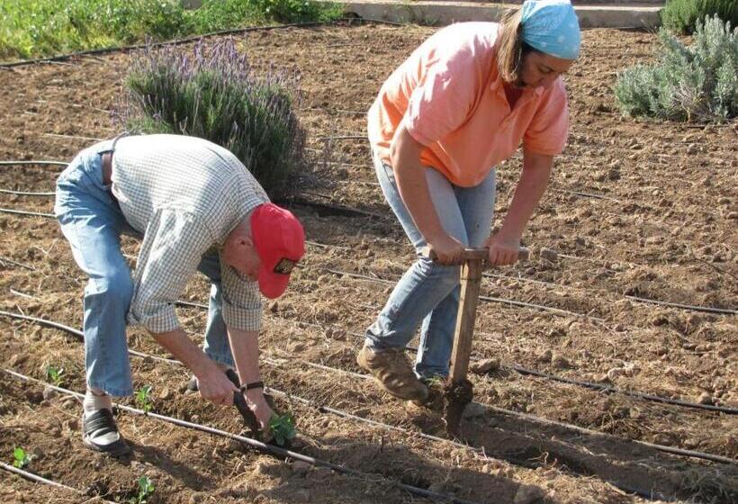 Отель Casa Rural Finca Las Dulces