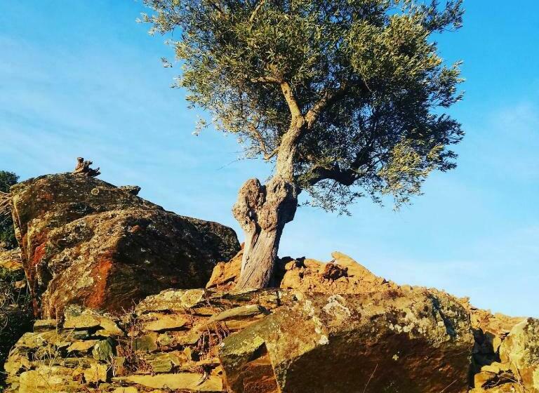 בית מלון כפרי Casas De Xisto