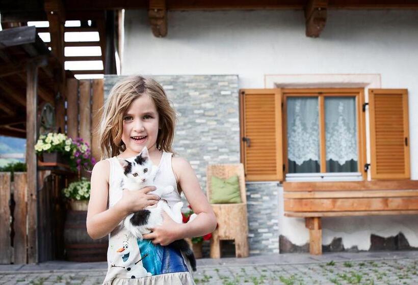 בית מלון כפרי Hölzlhof