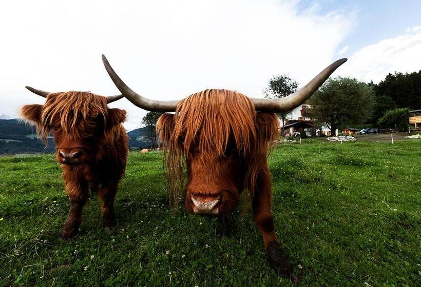 בית מלון כפרי Hölzlhof