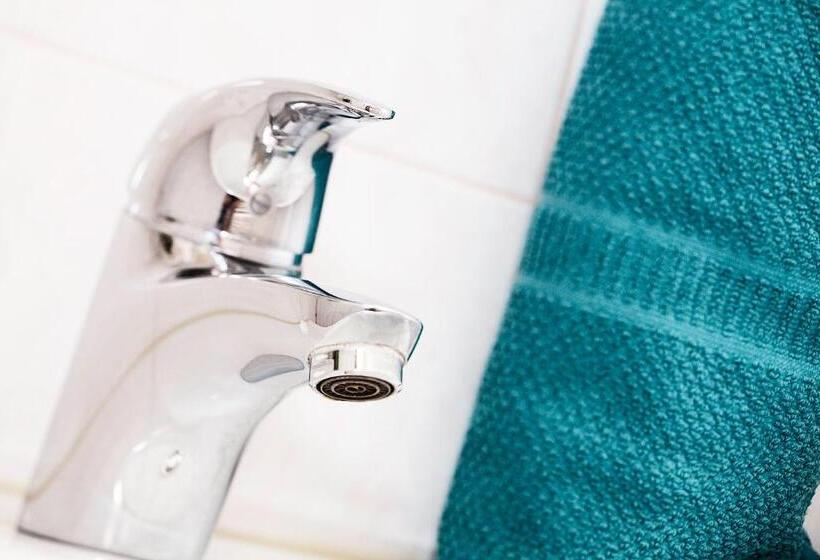 בית מלון כפרי Hölzlhof