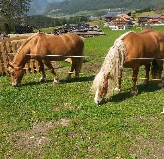 בית מלון כפרי Hölzlhof