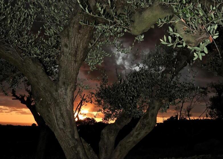 호텔 Villalfonsina Country House