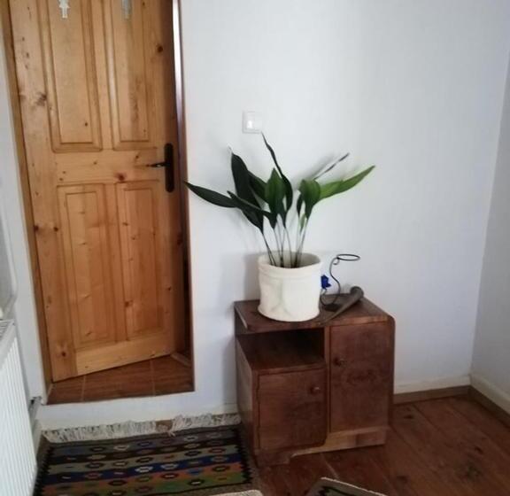 بنسيون Guest House Vodolei