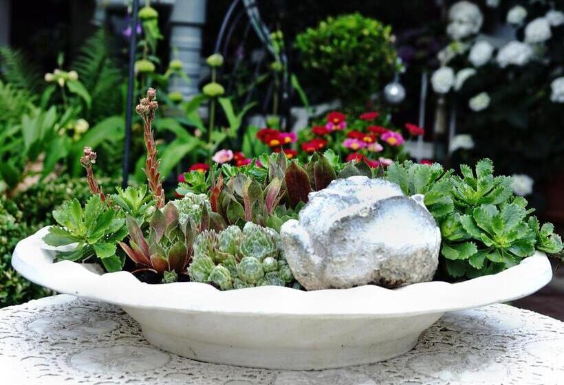 פנסיון Haus Buena Vista