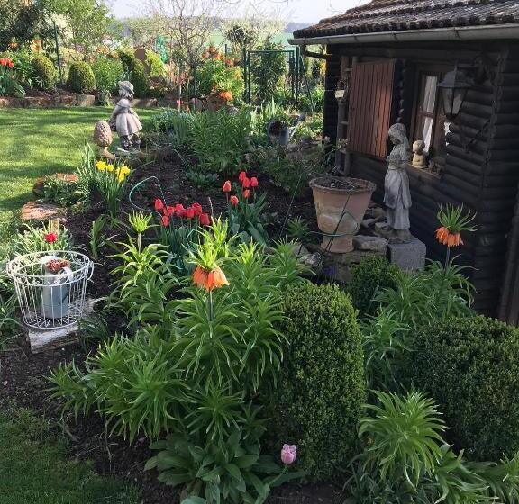 ペンション Haus Buena Vista