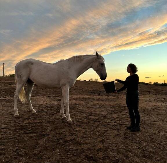 펜션 Herdade Do Charito