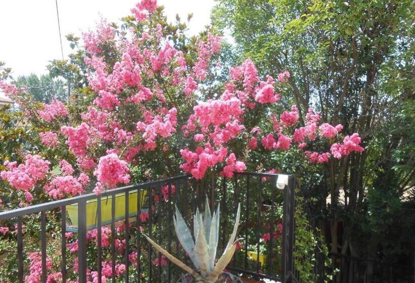 ペンション Maison Monica Exeptionnel Jardin Paysage Zen