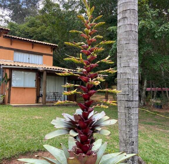 ペンション Pousada Ecológica Espelho D água