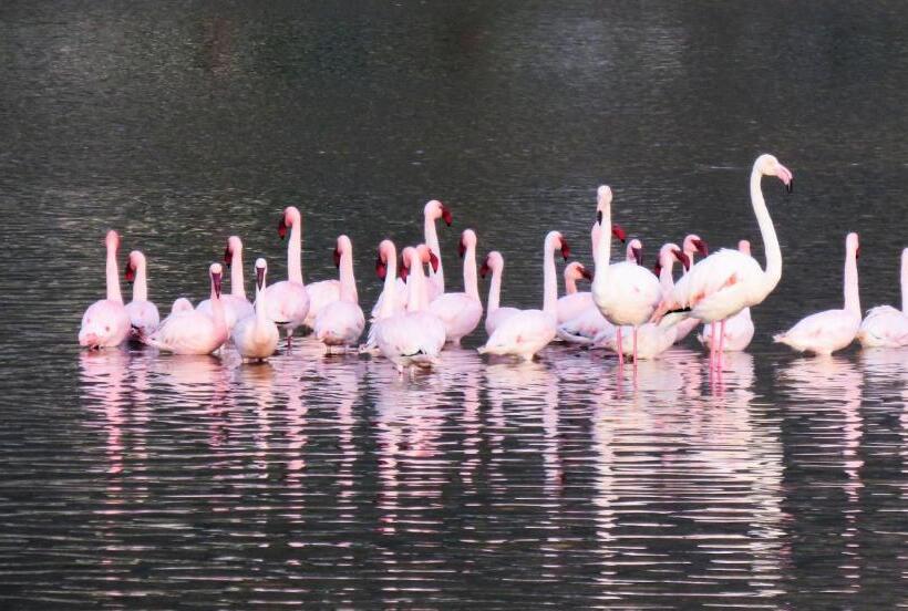 펜션 Pro Moni S Guesthouse