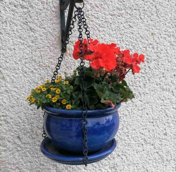 Пансион Sifra 276