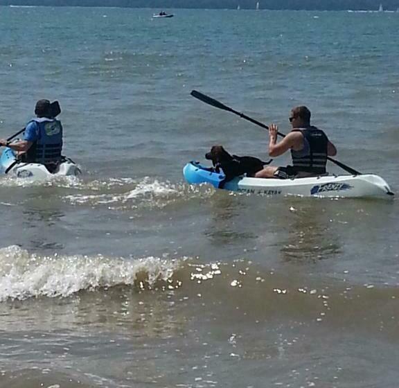 膳宿费 The Waters Edge