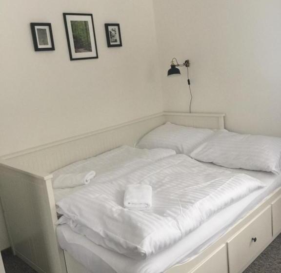 פנסיון Horská Vila Wander