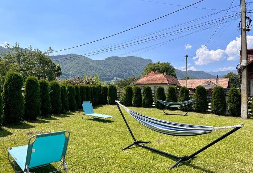 פנסיון Villa Nova