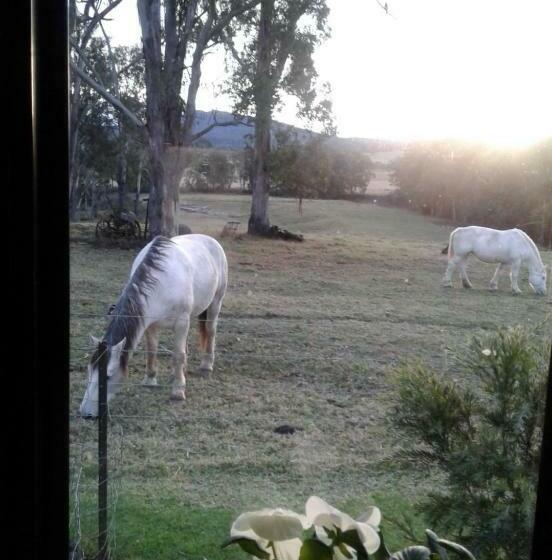 بنسيون Woodenbong Bed And Breakfast