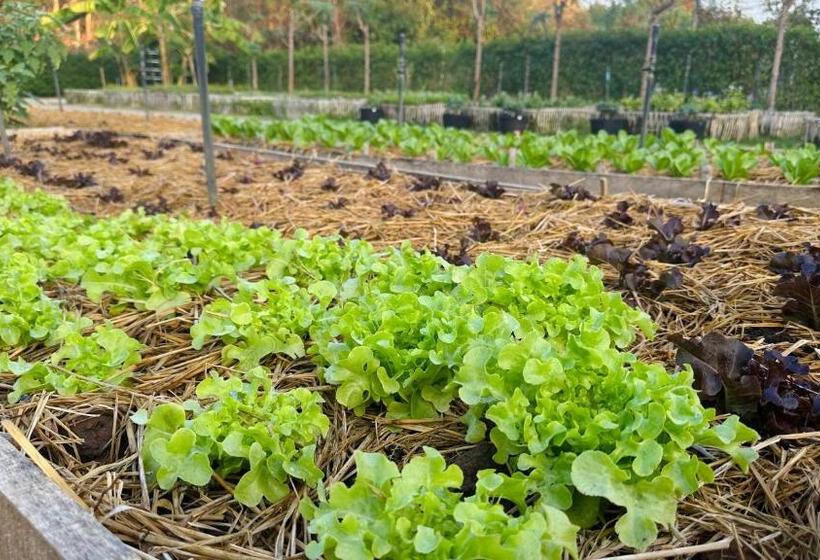 リゾートホテル The Sunnery Ville