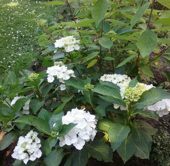 B&b Au Jardin Fleuri