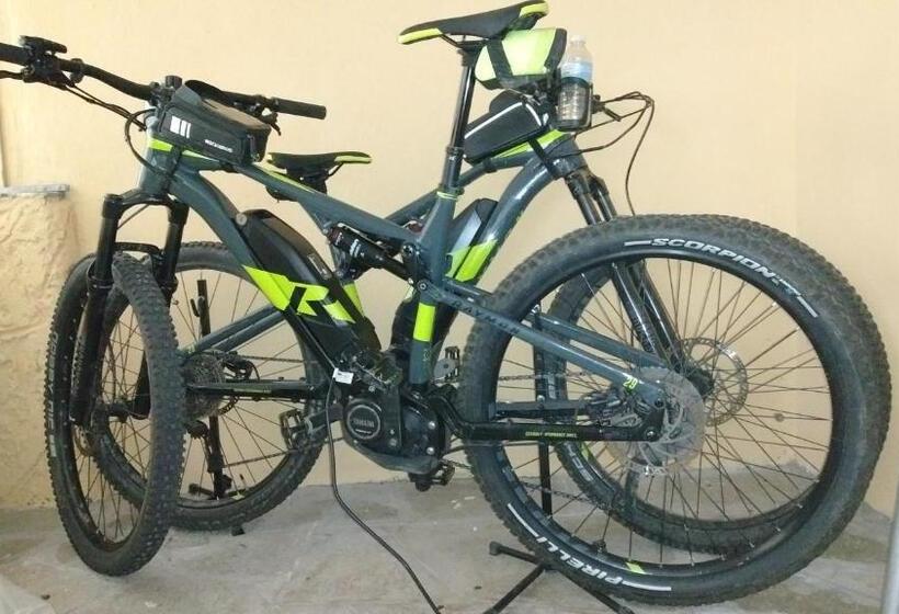 B&b Elfo Degli Ulivi