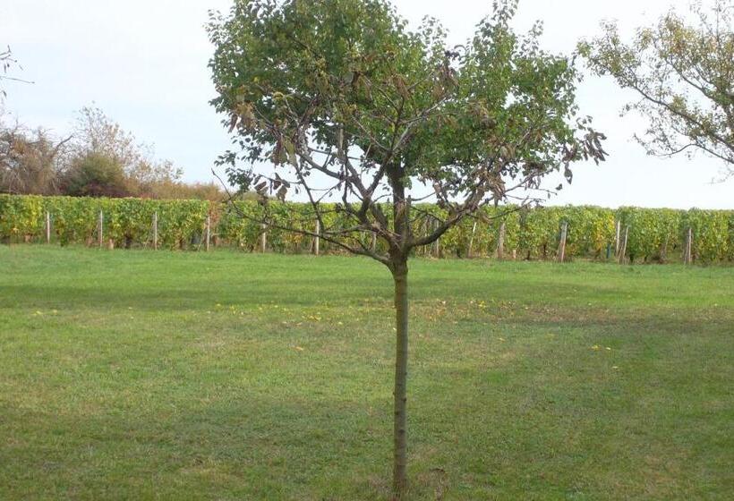 住宿加早餐  Armalou