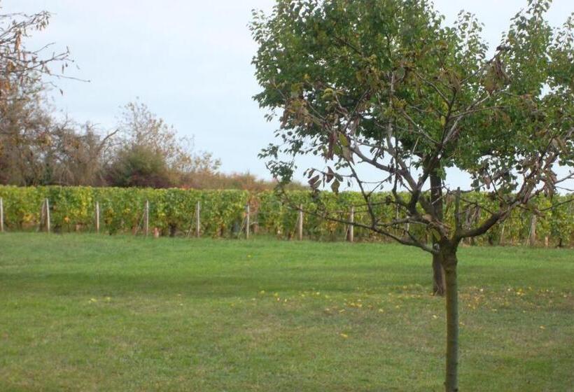 住宿加早餐  Armalou