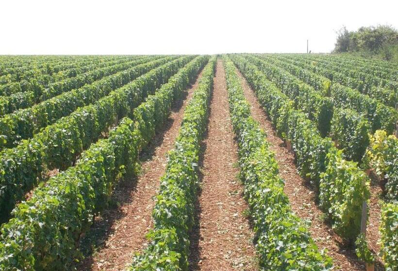 住宿加早餐  Armalou