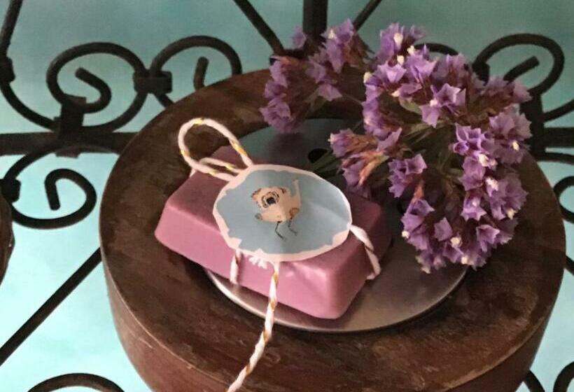 Bed and Breakfast Casa Inspirada