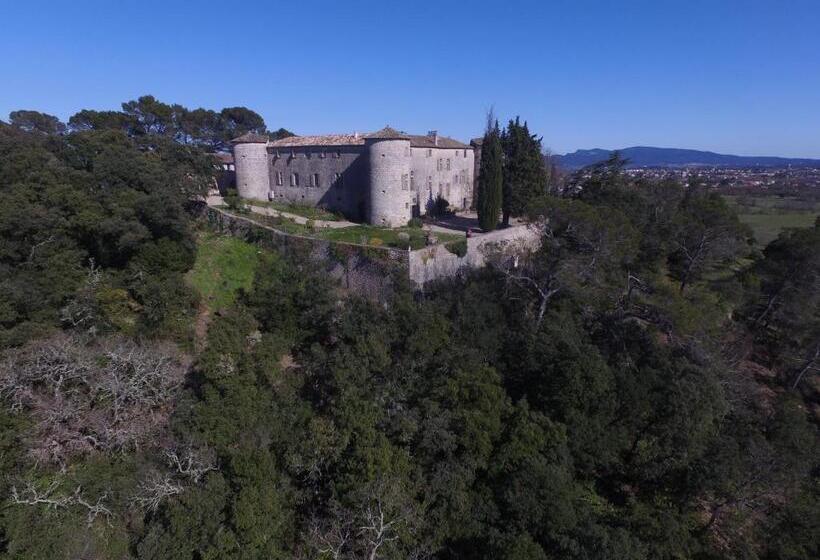 مبيت وإفطار Château De Rousson