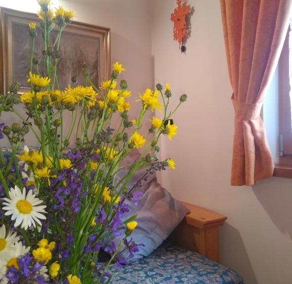 تختخواب و صبحانه Cianbolpin Guesthouse