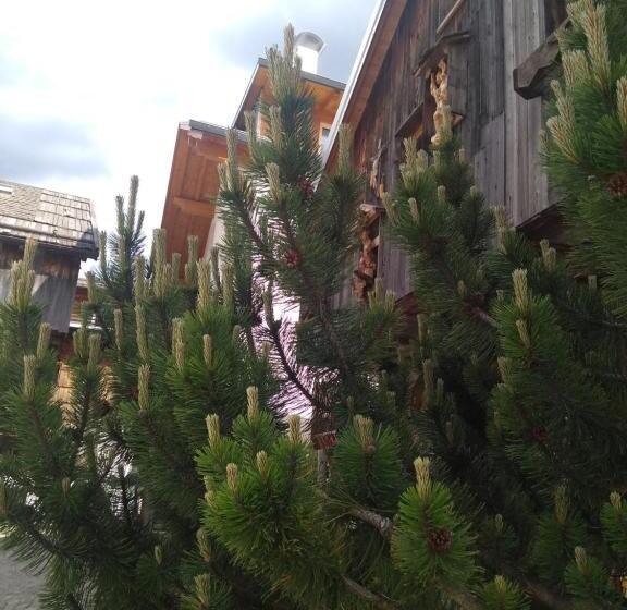 تختخواب و صبحانه Cianbolpin Guesthouse