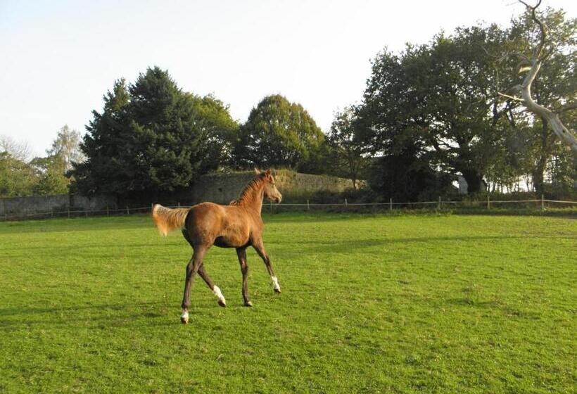 צימר Les Chambres Du Manoir De Kerhel