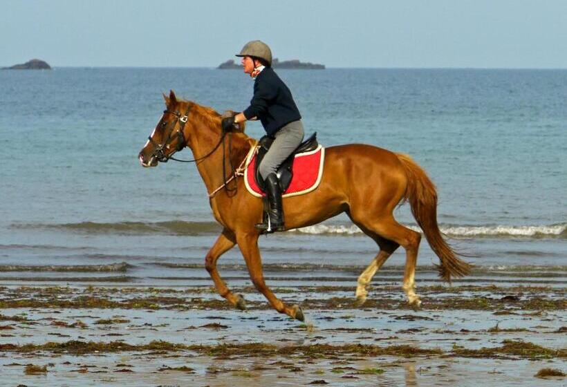 צימר Les Chambres Du Manoir De Kerhel
