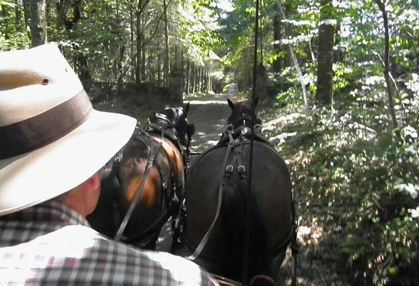 צימר Les Chambres Du Manoir De Kerhel