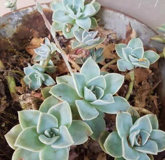 민박 Sugarbush Accommodation