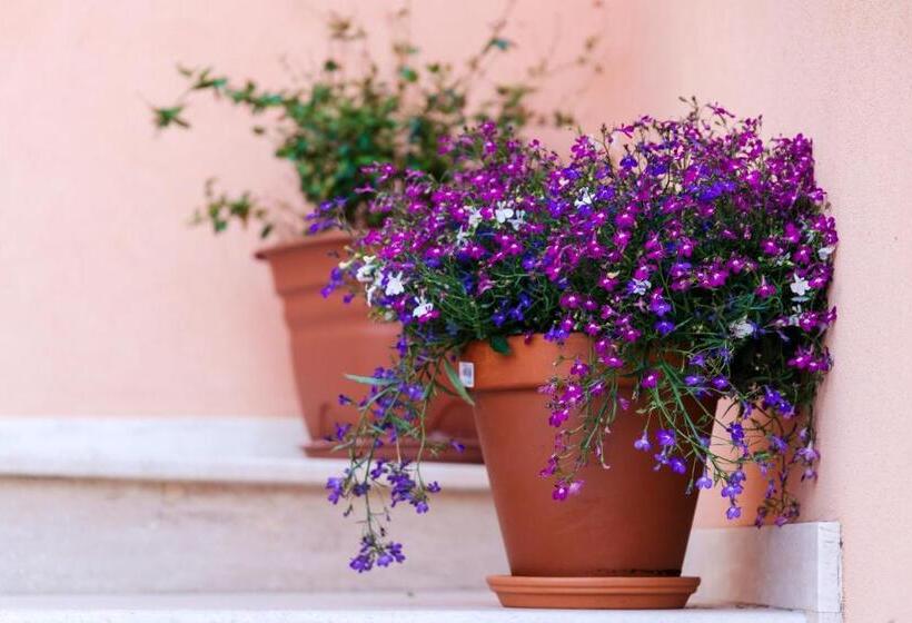 ベッドアンドブレックファースト Villa Dei Mercanti