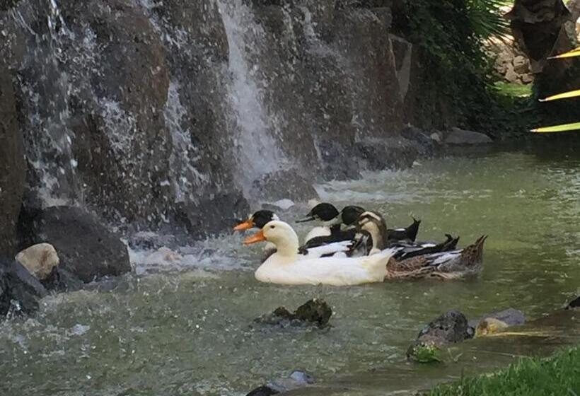 Bed and Breakfast Villa Giulia   Sicilian Luxury Garden