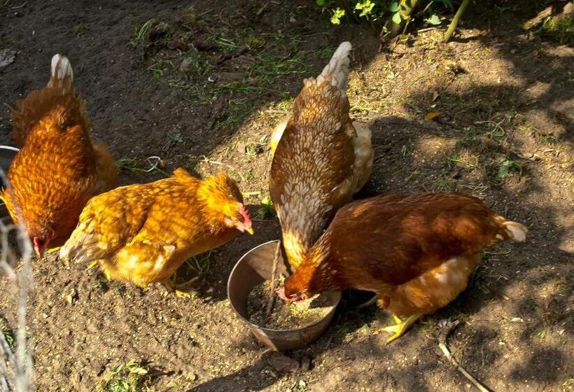 Bed & Breakfast Maryland