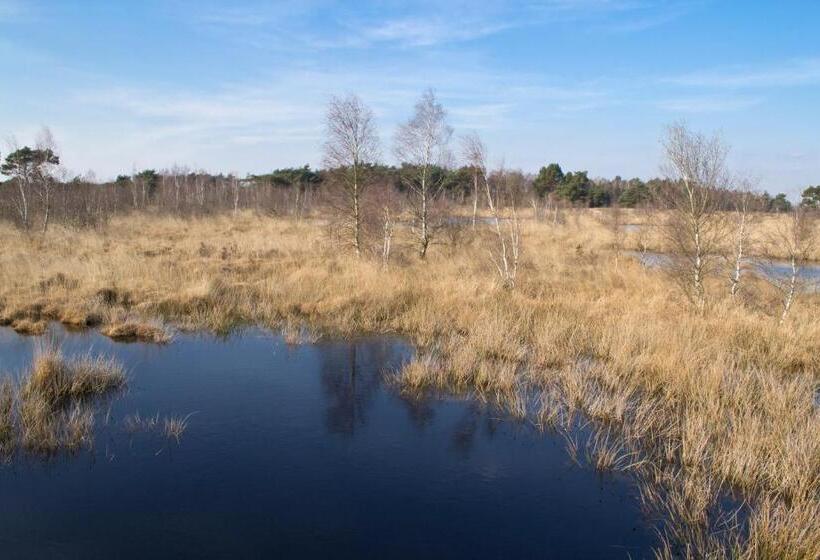 Bed & Breakfast Maryland