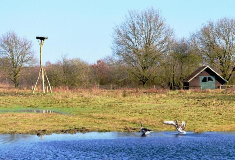 Bed & Breakfast Maryland