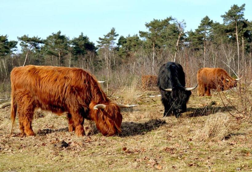 Bed & Breakfast Maryland