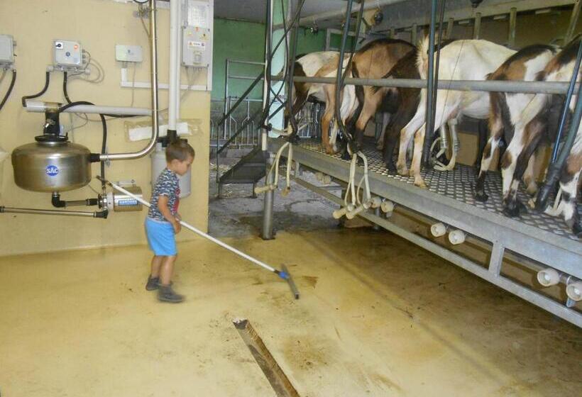 בית מלון כפרי Agriturismo Fiorendo