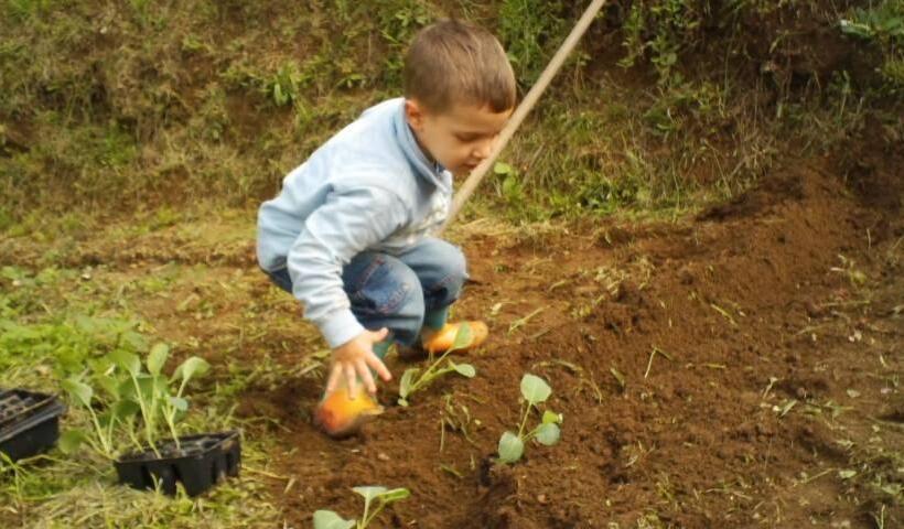 בית מלון כפרי Agriturismo Fiorendo