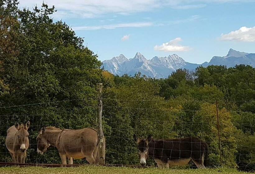 فندق Agriturismo La Selva