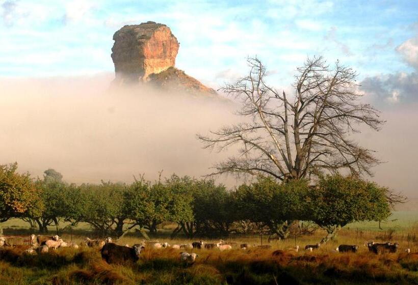 בית מלון כפרי Oranje Guest Farm