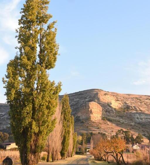 בית מלון כפרי Oranje Guest Farm