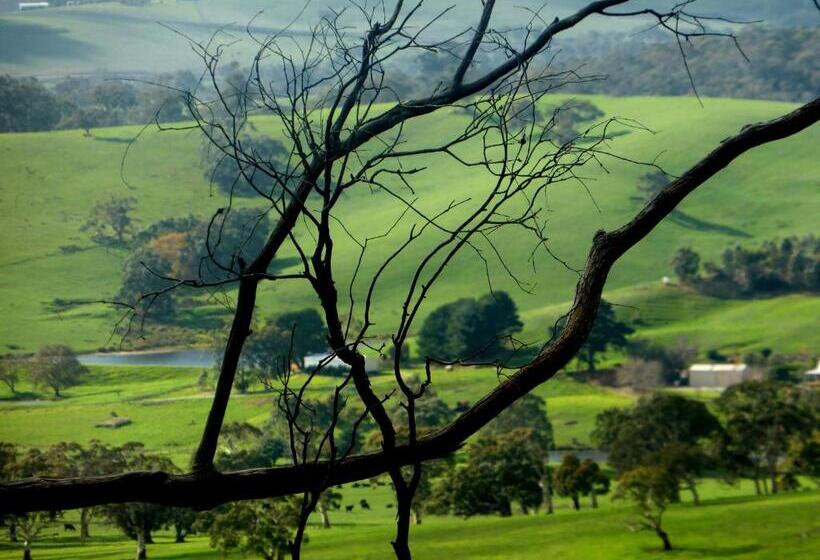 Lure Bed And Breakfast