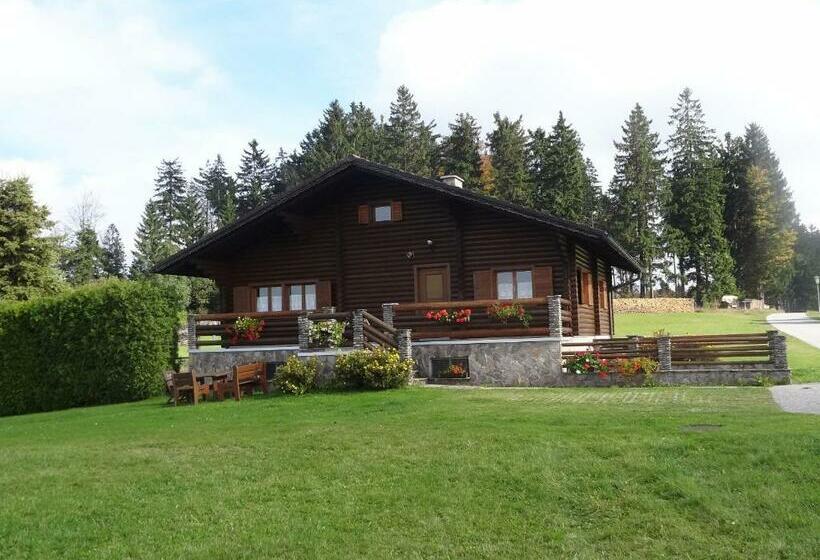 بنسيون Blockhaus Bärnkopf