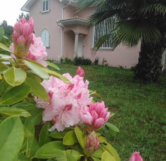 펜션 Casa Do Soito