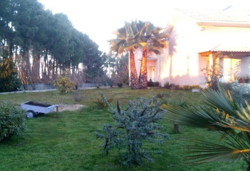 펜션 Casa Do Soito