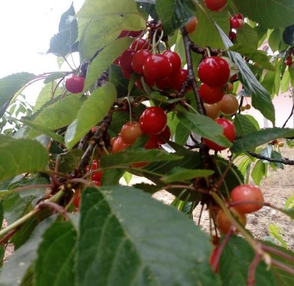 펜션 Casa Do Soito